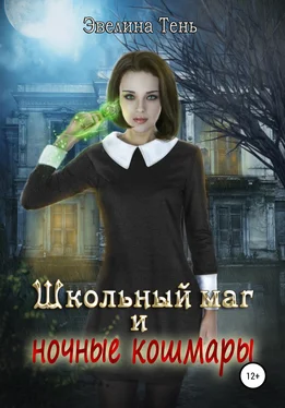 Эвелина Тень Школьный маг и ночные кошмары обложка книги