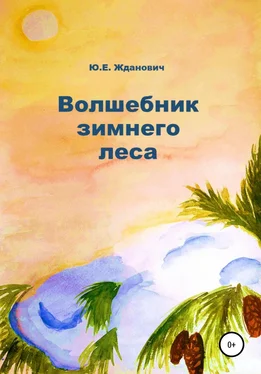 Юлия Жданович Волшебник зимнего леса обложка книги