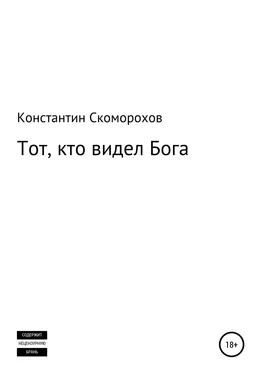 Константин Скоморохов Тот, кто видел Бога обложка книги