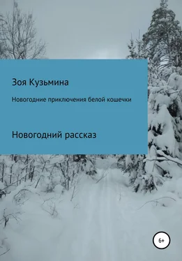 Зоя Кузьмина Новогодние приключения белой кошечки обложка книги