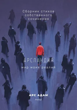 Арс Адам Арсландия. Мир моих реалий обложка книги