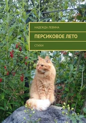 Надежда Левина - Персиковое лето. Стихи