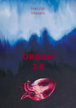 Николай Мамаев Океан 2.0 обложка книги