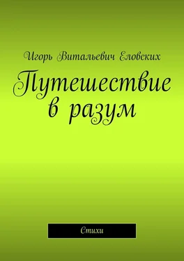 Игорь Еловских Путешествие в разум. Стихи обложка книги