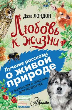 Джек Лондон Любовь к жизни. С вопросами и ответами для почемучек обложка книги