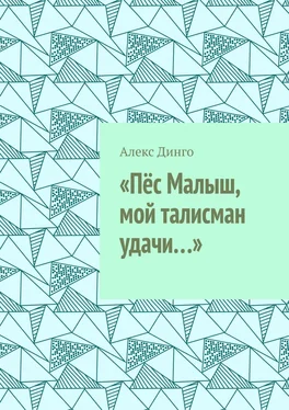 Алекс Динго «Пёс Малыш, мой талисман удачи…» обложка книги