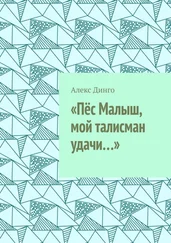 Алекс Динго - «Пёс Малыш, мой талисман удачи…»