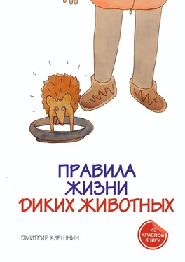 Дмитрий Клешнин Правила жизни диких животных обложка книги