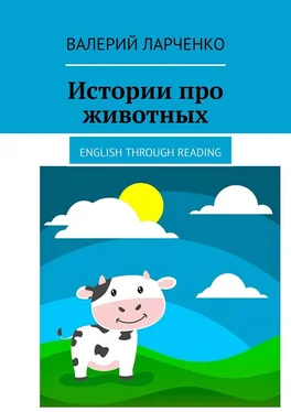 Валерий Ларченко Истории про животных. English through reading обложка книги