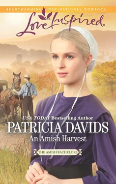 Patricia Davids An Amish Harvest обложка книги