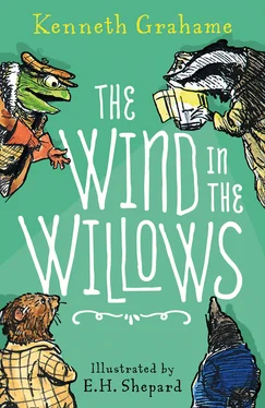 Kenneth Grahame The Wind in the Willows – 90th anniversary gift edition обложка книги