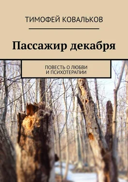 Тимофей Ковальков Пассажир декабря. Повесть о любви и психотерапии обложка книги