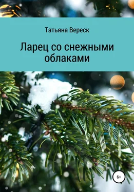 Татьяна Вереск Ларец со снежными облаками обложка книги