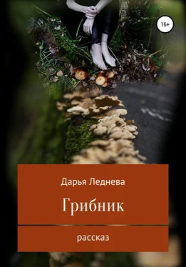 Дарья Леднева Грибник обложка книги