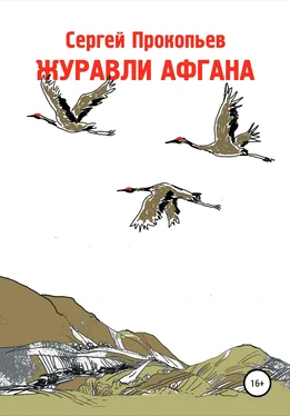 Сергей Прокопьев Журавли Афгана обложка книги