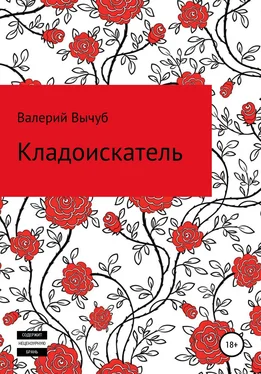 Валерий Вычуб Кладоискатель обложка книги