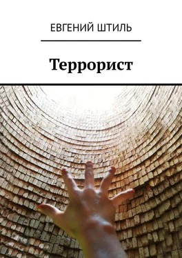 Евгений Штиль Террорист обложка книги