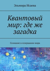 Эльмира Исаева - Квантовый мир - где же загадка. Сознание в созерцании мира