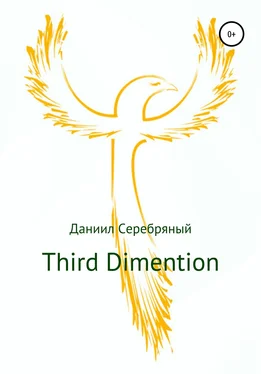 Даниил Серебряный Third Dimention обложка книги