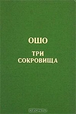 Бхагван Раджниш Дао. Три сокровища. Беседы о «Дао Де Цзин» т. 2 обложка книги