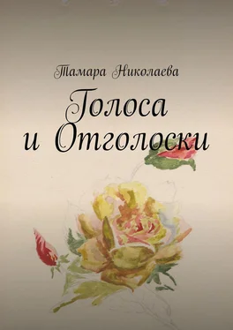 Тамара Николаева Голоса и Отголоски обложка книги
