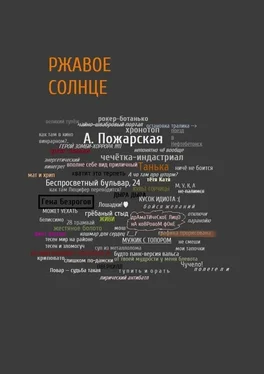 Алина Пожарская Ржавое солнце обложка книги