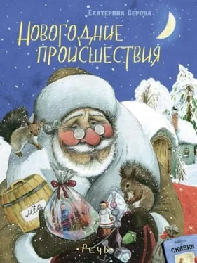 Екатерина Серова Новогодние происшествия обложка книги