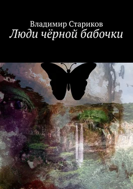 Владимир Стариков Люди чёрной бабочки обложка книги