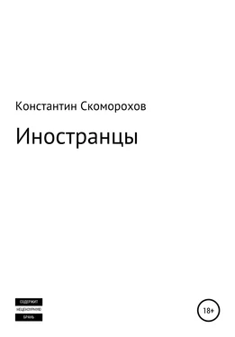 Константин Скоморохов Иностранцы обложка книги