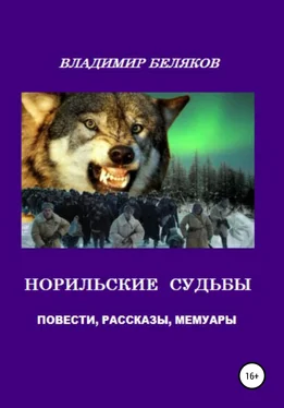 Владимир Беляков Норильские судьбы обложка книги