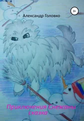 Александр Головко - Приключения Снежаны