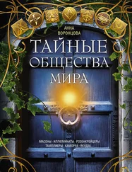 Анна Воронцова - Тайные общества мира. Масоны, иллюминаты, розенкрейцеры, тамплиеры, каморра, якудза…