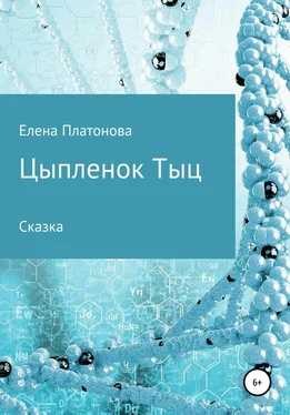 Елена Платонова Цыпленок Тыц обложка книги