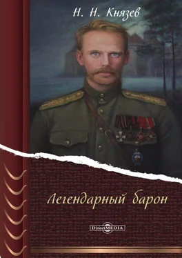 Николай Князев Легендарный барон обложка книги