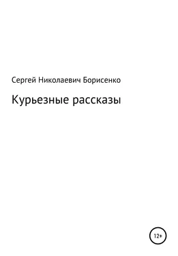 Сергей Борисенко Курьезные рассказы обложка книги