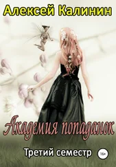 Алексей Калинин - Академия попаданок. Третий семестр