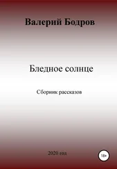 Валерий Бодров - Бледное солнце. Сборник рассказов