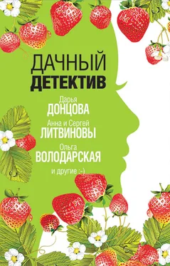 Анна и Сергей Литвиновы Дачный детектив обложка книги