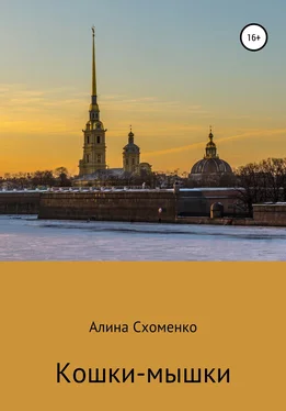 Алина Схоменко Кошки-мышки обложка книги