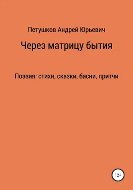 Андрей Петушков Через матрицу бытия обложка книги