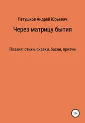 Андрей Петушков - Через матрицу бытия