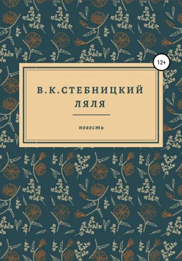 В.К.Стебницкий Ляля обложка книги