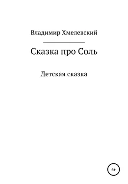 Владимир Хмелевский Сказка про Соль обложка книги