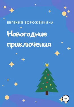 Евгения Ворожейкина Новогодние приключения обложка книги