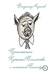 Владимир Карасев - Приключения Хрюшона Пятачкова с планеты Патащак