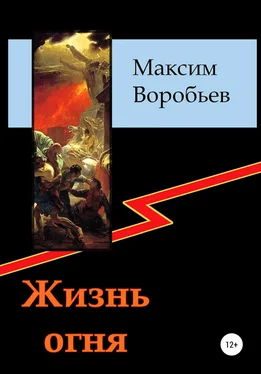 Максим Воробьев Жизнь огня обложка книги