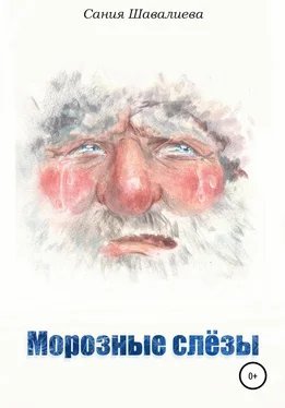 Сания Шавалиева Морозные слёзы обложка книги