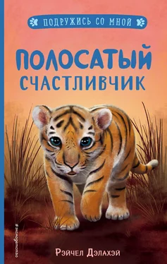 Рэйчел Дэлахэй Полосатый счастливчик обложка книги