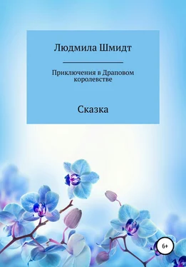 Людмила Шмидт Приключения в Драповом Королевстве обложка книги