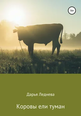 Дарья Леднева Коровы ели туман обложка книги